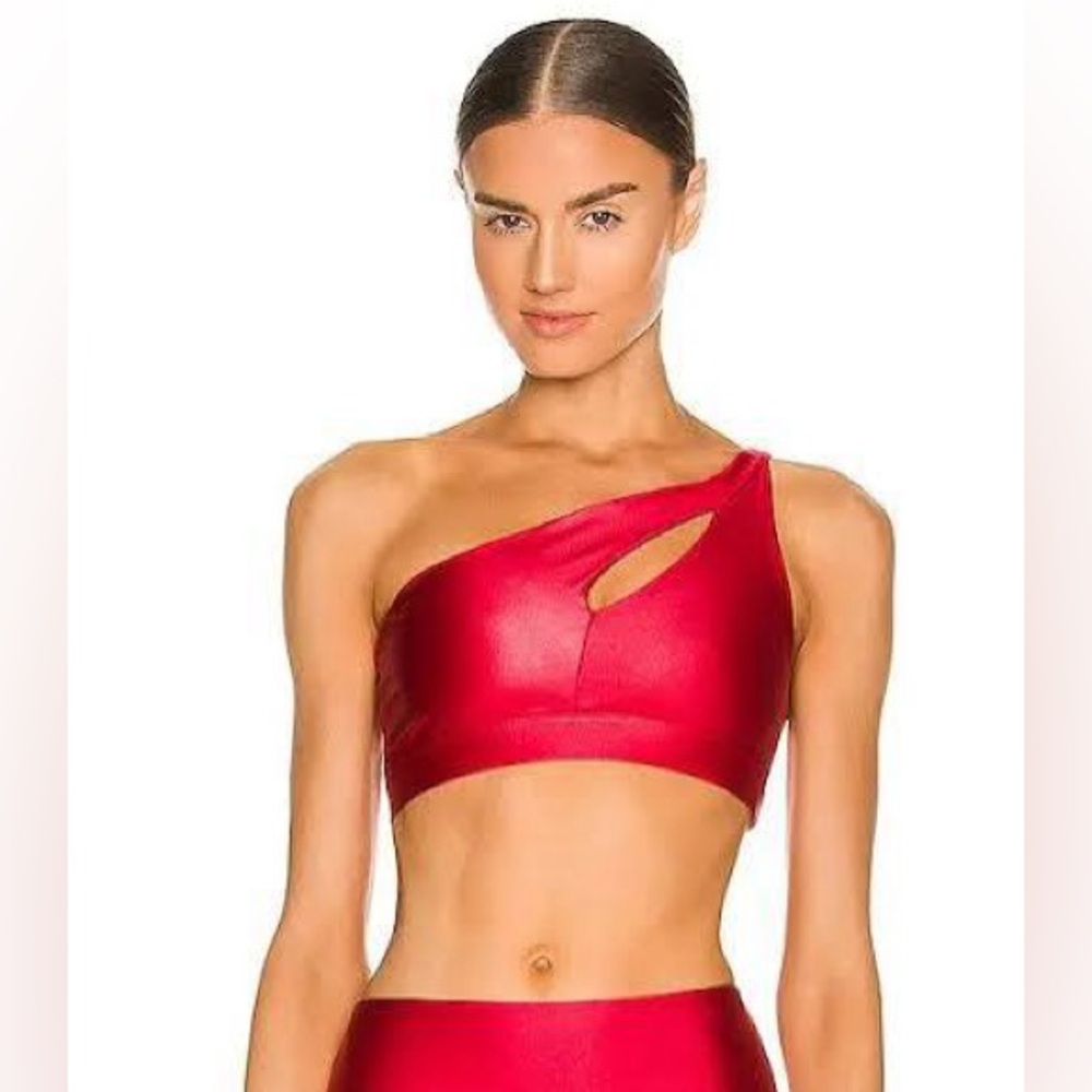 Onzie Sutra Bra NWOT